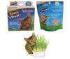 Snack’n Treat - Bộ kit trồng cỏ mèo tươi (Đất trồng + hạt giống + hộp nhựa )