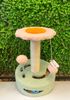 Trụ Cào Jian Bông Hoa 232425 - Jian Cat Tree Flower232425