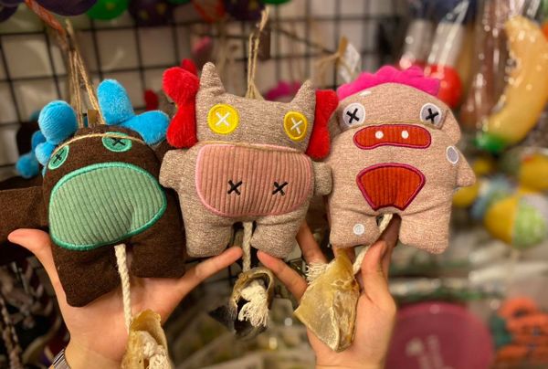 DogToy GấuBông&MóngTrâu - CutePet&BuffaloHoof
