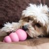 KONG Puppy - Đồ chơi cao su Kong cho chó con (XS,S,M,L)