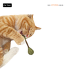 Đồ Chơi Catnip Cho Mèo - Catwant Catnip / Silvervine Dental Buds