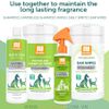 NOOTIE EAR WIPES WITH SALICYLIC ACID - Khăn giấy vệ sinh Tai (70pcs)