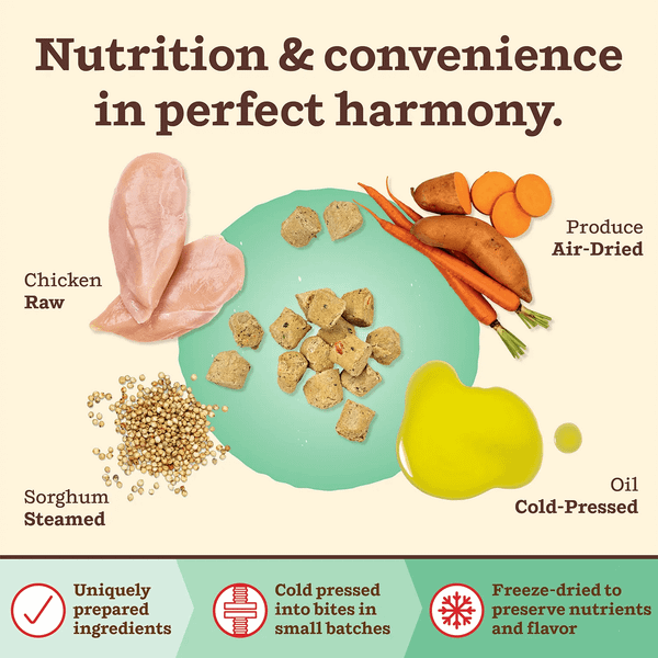 Primal - Kibble in the Raw Dog Food – Thịt Gà