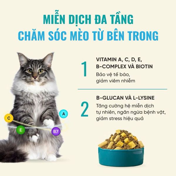 Thức Ăn Hạt Cao Cấp Cho Mèo - Bite of Wild 6 Fish Formula F42 - 1Kg
