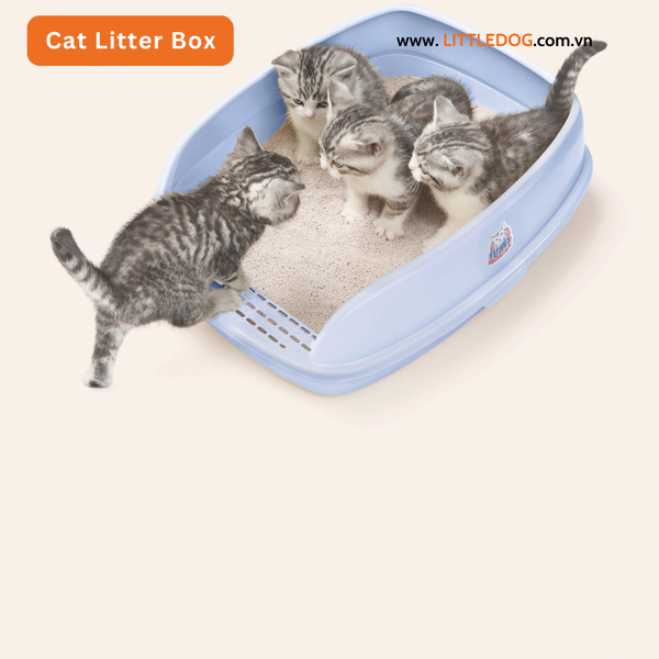 Nhà Vệ Sinh Catidea Khép Kín Dành Cho Mèo XL