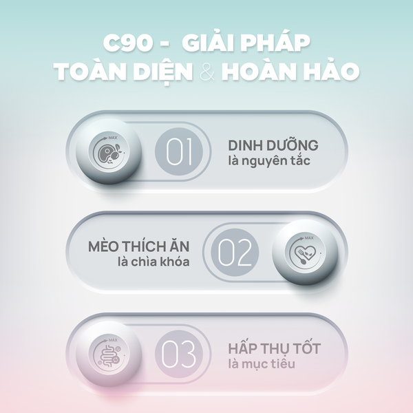 Thức Ăn Hạt Churro C90 Dành Cho Mèo Con – PetQ