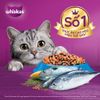 Thức ăn hạt khô Whiskas cho Mèo trưởng thành 1.2kg