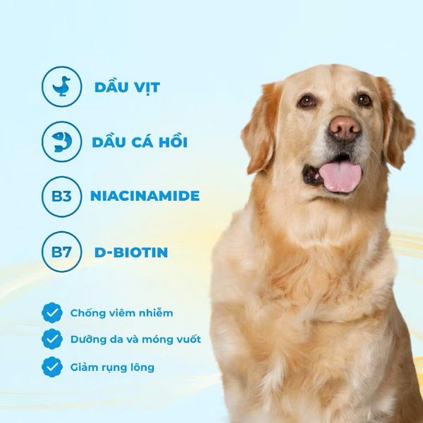 MR.VET D1 Hạt Khô Cao Cấp Cho Chó (1.4KG)