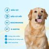 MR.VET D1 Hạt Khô Cao Cấp Cho Chó (1.4KG)