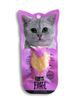 KITCAT Gà Nướng -CAT Chicken 30g