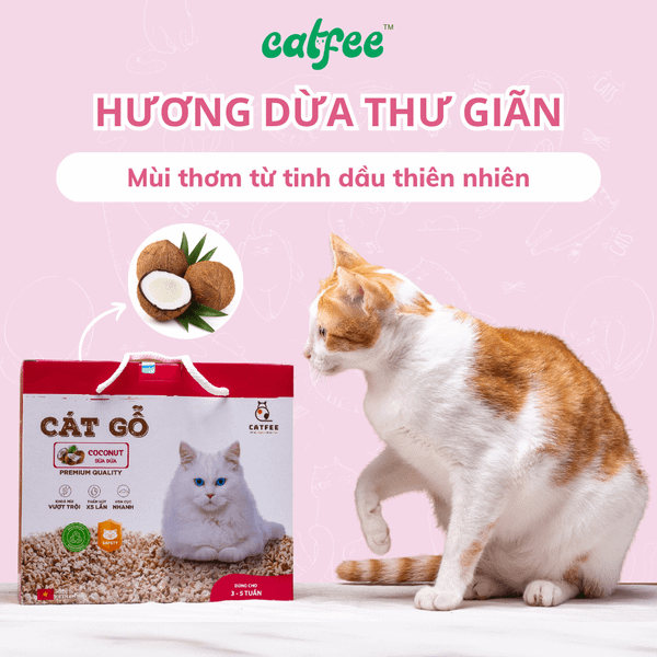 Cát Vệ Sinh Cho Mèo - CattFee Cát Gỗ Vón Cho Mèo - 6L/9L