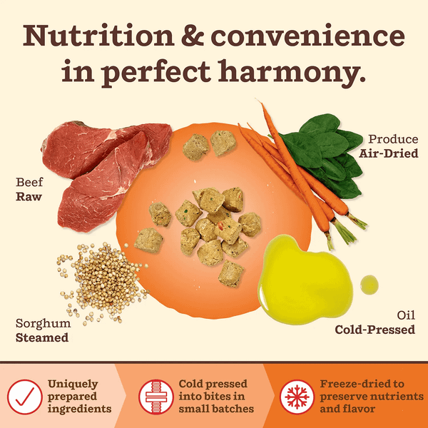 Primal - Kibble in the Raw Dog Food - Thịt Bò