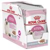 Royal Canin Kitten in Loaf - Mèo con 85g
