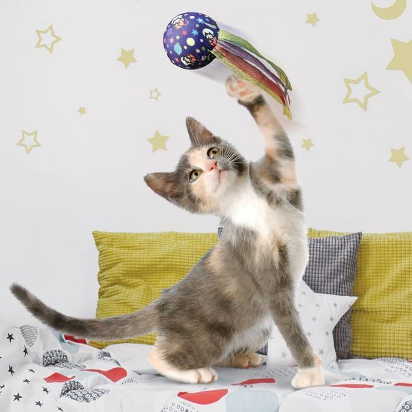 KONG Cat Active Space Ball CA88