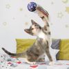 KONG Cat Active Space Ball CA88