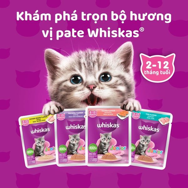 Whiskas Kitten - Pate cho Mèo Con 80g