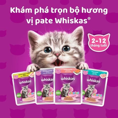 Whiskas Kitten - Pate cho Mèo Con 80g