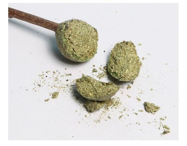 Yichon Catnip Que Gỗ