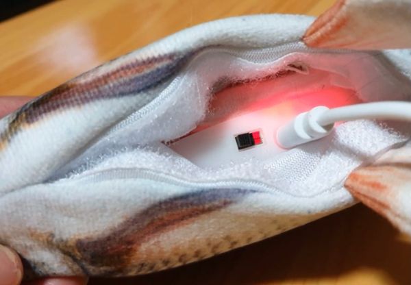 Cattoy Cá Điện - CAT Electric Fish