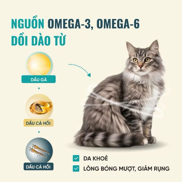 Thức Ăn Hạt Cho Mèo Bite Of Wild B45 - 1KG
