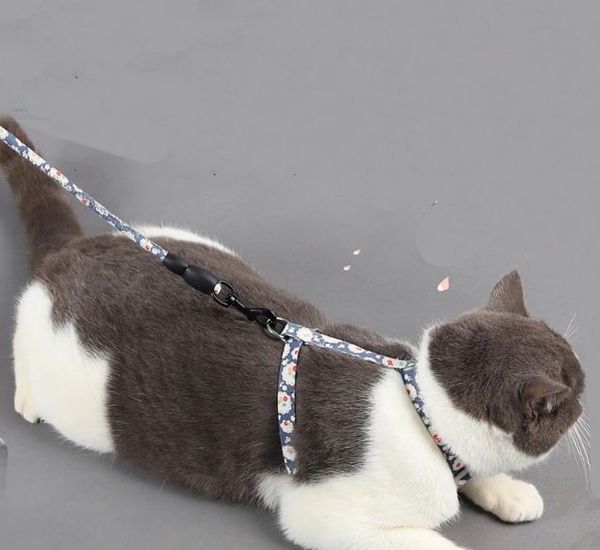 Dây Dắt Vòng Cổ Cho Mèo - Cat Hardness Set