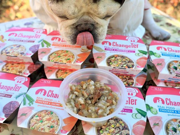 ChangeTer - Thức ăn đóng hộp đầy dinh dưỡng cho Chó 80g