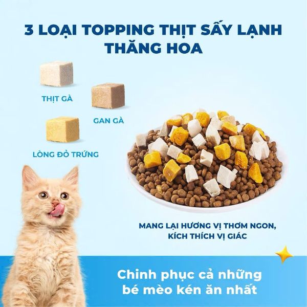 MR.VET T2 – Thức Ăn Mèo Cao Cấp (1kg)