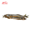 Little Paws Capelin - Cá Trứng Sấy - 8pcs/16pcs