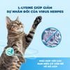 MR.VET T4 – Hạt Holistic Cho Mèo Trong Nhà (1KG)