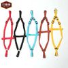 Bejiary HNSet Colour 1.5cm