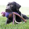 KONG Wubba Medley WMD3 Sm