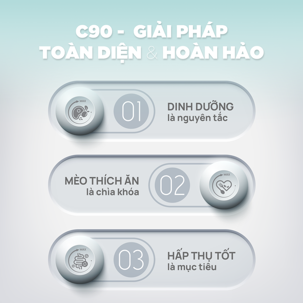 Thức Ăn Hạt Churro C90 Dành Cho Mèo Mọi Lứa Tuổi – PetQ