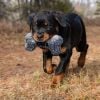 Kong Dog Maxx Bone Medium/Large