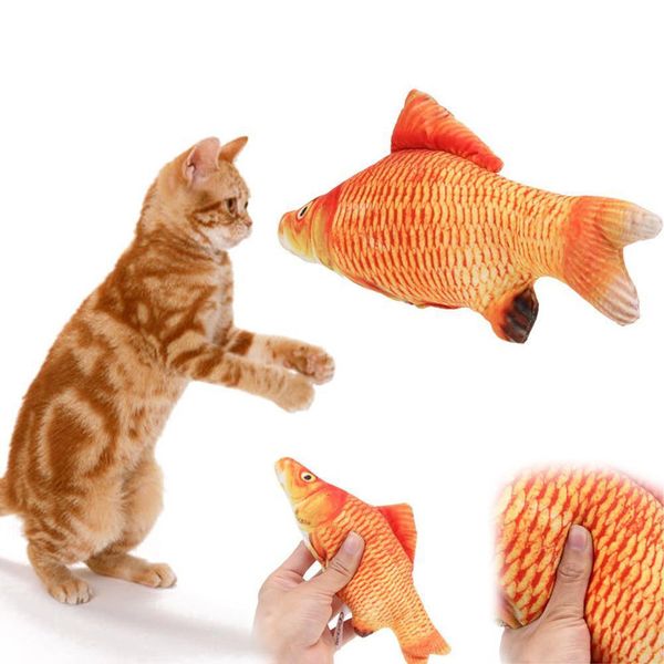 Cá Nhồi Catnip