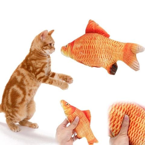 Cá Nhồi Catnip