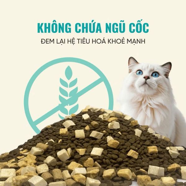 Thức Ăn Cho Mèo Cao Cấp - Bite Of Wild P42 - 1Kg