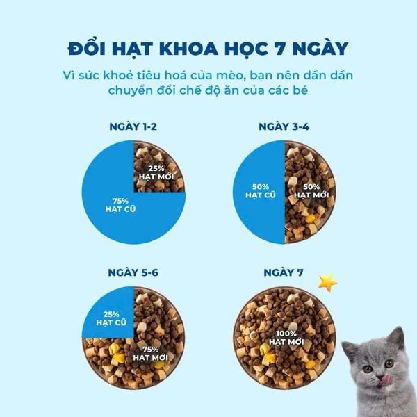 MR.VET T2 – Thức Ăn Mèo Cao Cấp (1kg)
