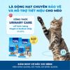 Mr. Vet T3 – Công thức Hỗ trợ Tiết Niệu (1kg)