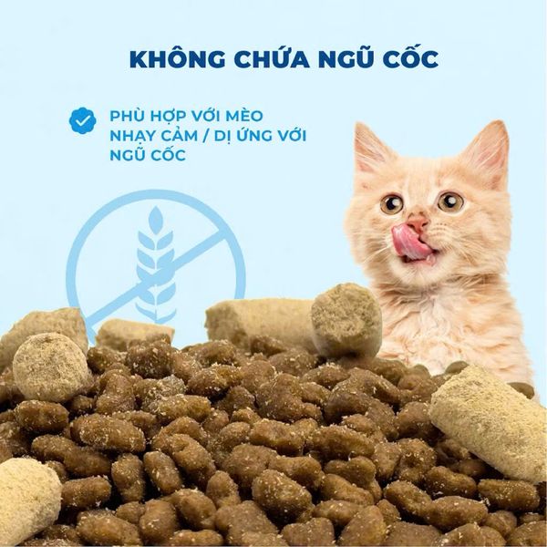 MR.VET G1 - Hạt Khô Cho Mèo Cao Cấp Không Ngũ Cốc, Kèm Topping Thịt Tươi Đông Khô (1KG)