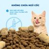 MR.VET G1 - Hạt Khô Cho Mèo Cao Cấp Không Ngũ Cốc, Kèm Topping Thịt Tươi Đông Khô (1KG)