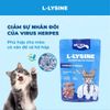 Pate Cho Mèo MR.VET (70G) - Vị Cá Ngừ và Cá Hồi