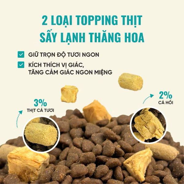 Thức Ăn Hạt Cao Cấp Cho Mèo - Bite of Wild 6 Fish Formula F42 - 1Kg
