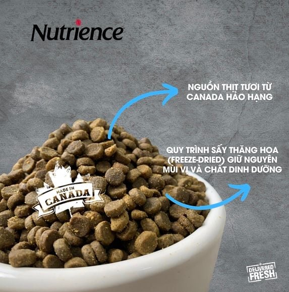 Thức Ăn Hạt Cho Mèo Trưởng Thành - Nutrience Infusion - Vị Cá Biển Và Rau Củ - 500G/2.27KG/5KG
