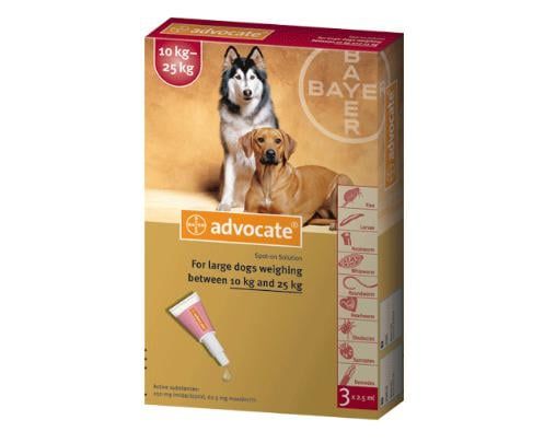 Bayer - Trị ký sinh trùng Advocate cho chó 10-25kg