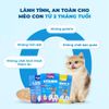 Pate Cho Mèo MR.VET (70G) - Vị Cá Ngừ và Cá Hồi