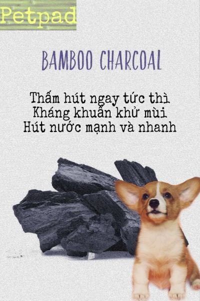 Tã lót sàn Daily Care than hoạt tính - Daily Care Charcoal Pet Pad