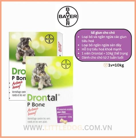 Bayer Drontal Sổ Giun Cho Chó