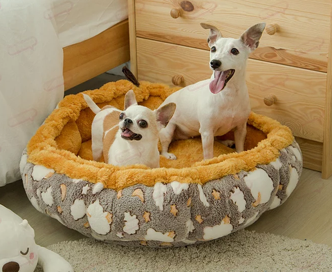 MJ Pumpkin Bed Vải FUR (#1/#2)