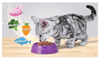 Whiskas Adult - Pate cho mèo trên 1 tuổi 85g