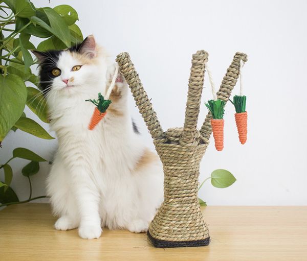 Trụ Cào Mèo Jian Cà Rốt 17 - Jian Cat Tree Carrot 17